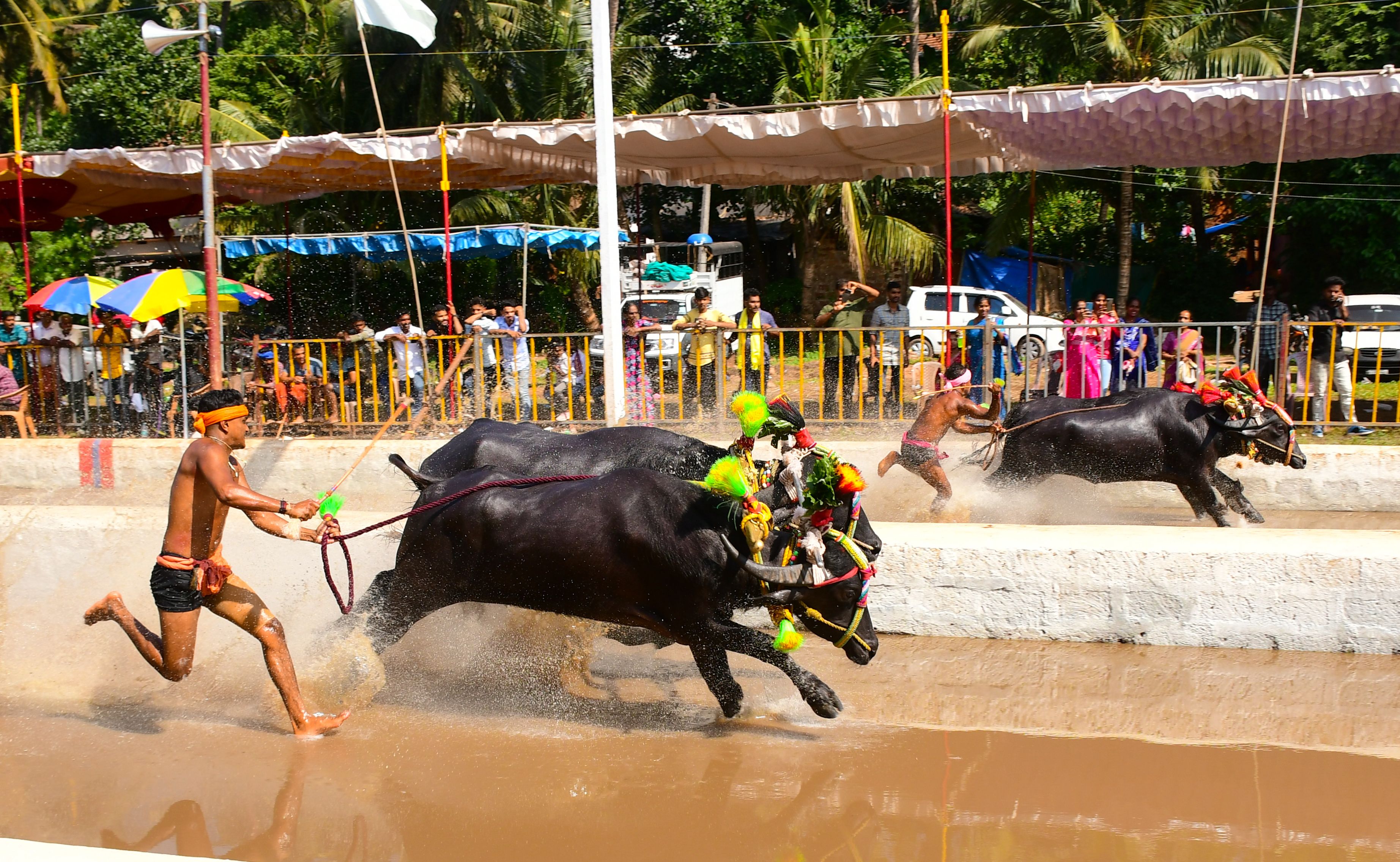 mangalore landscape