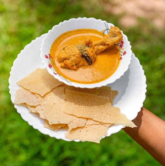 Kori rotti